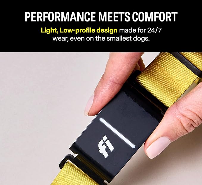 Fi Series 3 Smart Dog Collar - GPS Dog Tracker and Activity & Fitness Monitor, Waterproof, LED Light, Escape Alerts, Nationwide Coverage [Free 6 Month Membership] (Gray, X-Small)
