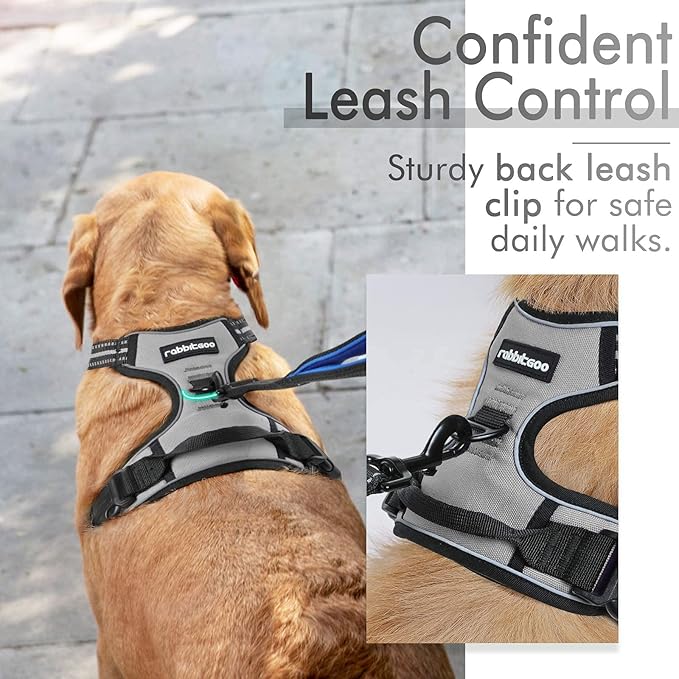 rabbitgoo Dog Harness, No-Pull Pet Harness with 2 Leash Clips, Adjustable Soft Padded Dog Vest, Reflective No-Choke Pet Oxford Vest with Easy Control Handle for Large Dogs, Grey, L