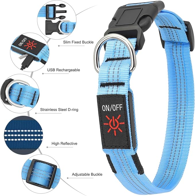 Light Up Dog Collar - BSEEN LED Dog Collar Rechargeable Lighted Dog Collar Reflective Glow Collars for Dogs, Super Bright Dog Lights for Night Walking (Blue-II, Large)