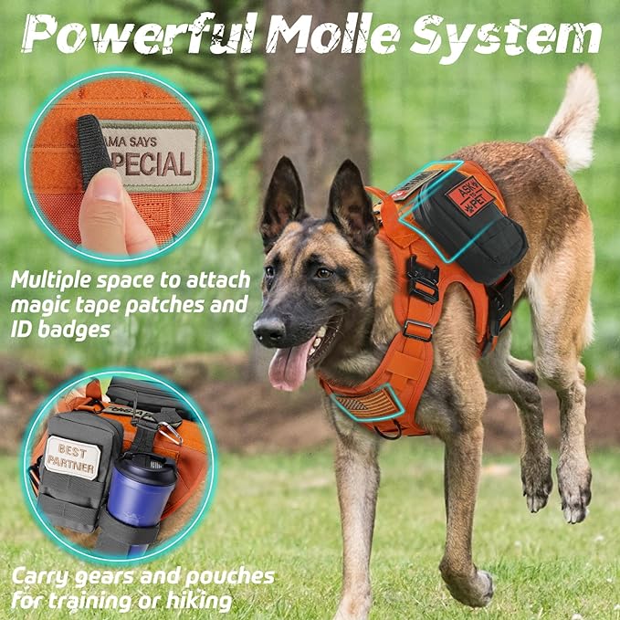 rabbitgoo Tactical Dog Harness for Large Dogs, Heavy Duty Dog Harness with Handle, No-Pull Service Dog Vest Large Breed, Adjustable Military Dog Vest Harness for Training Hunting Walking, Orange, L