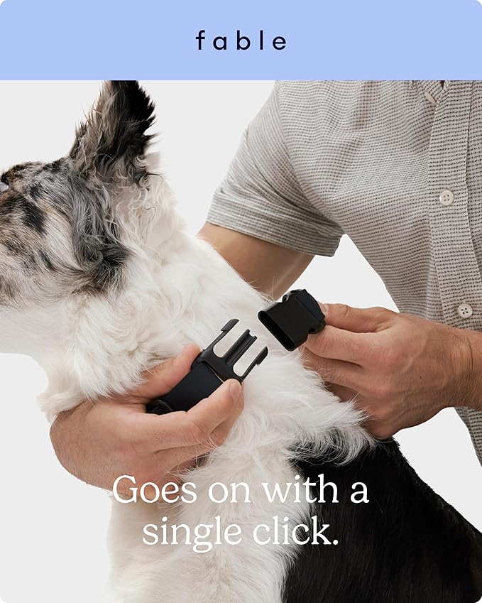 FABLE Signature Collar - Lightweight, Waterproof, & Durable Dog Collar - Coated Webbing Collar with Aluminum Buckle - Easy On/Off & Re-Sizing - Easy to Clean - Black - Extra Large