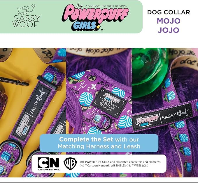 Mojo JoJo™ - S, Dog Collar, Adjustable, Durable, Comfortable and Stylish Pet Accessories for Small Dogs