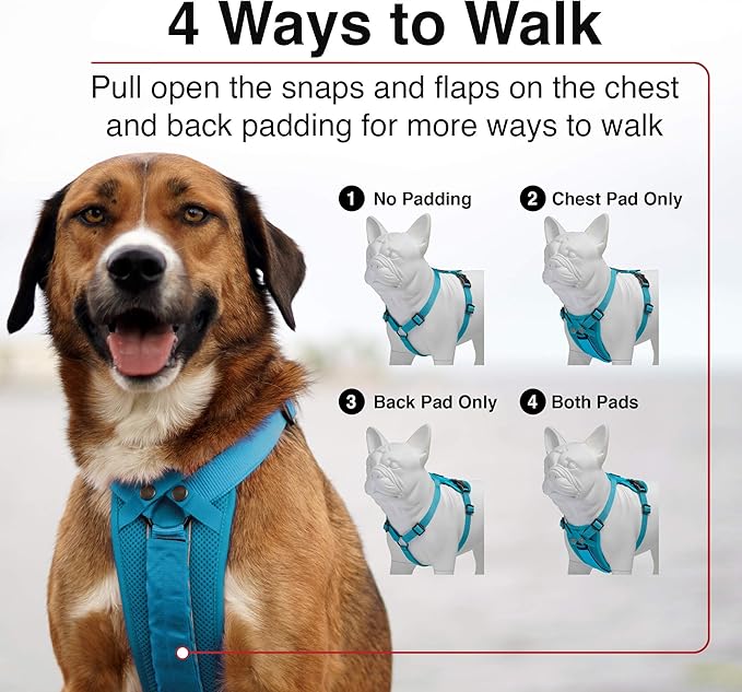 Voyager Freestyle 4-in-1 Dog Harness - Patent Pending Adjustable Webbing Harness with Removable Padding for Small to Large Dogs by Best Pet supplies - Fuchsia, L