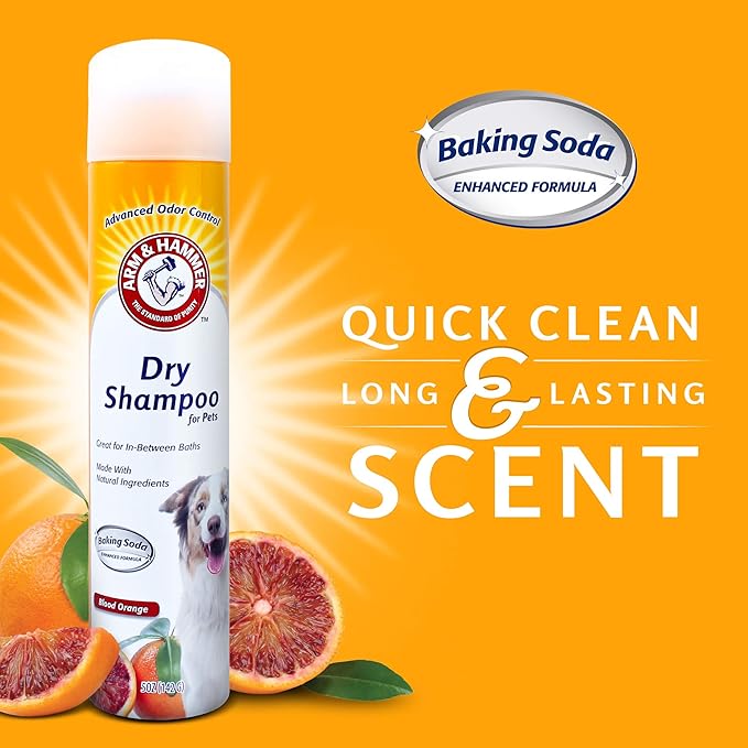 Arm & Hammer for Pets Aerosol Dry Shampoo for Dogs & Puppies | Waterless | Citrus Blood Orange Scent, 5 Ounce Bottle
