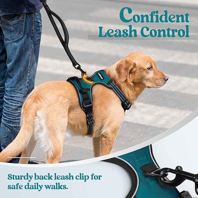 rabbitgoo Dog Harness, No-Pull Pet Harness with 2 Leash Clips, Adjustable Soft Padded Dog Vest, Reflective No-Choke Pet Oxford Vest with Easy Control Handle for Large Dogs, Blue Coral, L