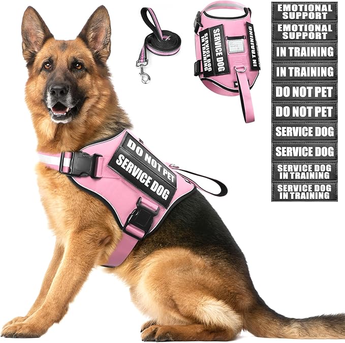 Service Dog Harness and Leash Set, Training Dog Vest with 10 Dog Patches, Emotional Support Therapy Dog Vest Harness for Small Medium Large and Extra Large Dogs(Pink, XL)
