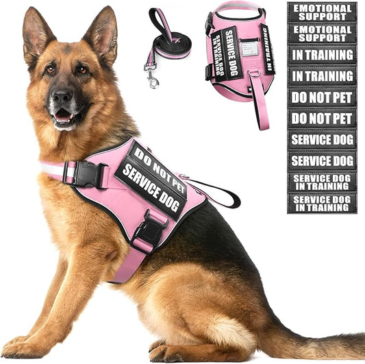 Service Dog Harness and Leash Set, Training Dog Vest with 10 Dog Patches, Emotional Support Therapy Dog Vest Harness for Small Medium Large and Extra Large Dogs(Pink, XL)