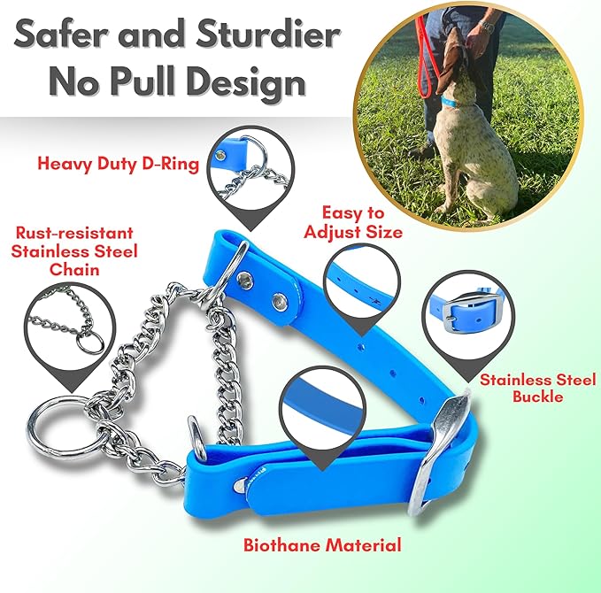 Martingale Collar for Dogs, Biothane, Stainless Steel Hardware, No Pull, Made in The USA, Professional Grade, Medium Light Blue