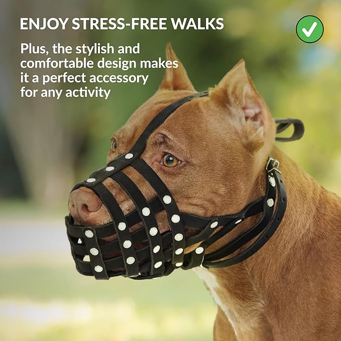 CollarDirect Pitbull Dog Muzzle Leather Amstaff Muzzles Staffordshire Terrier Secure Basket (Black)…