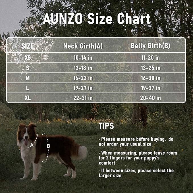Dog Harness for Medium Sized Dog No-Pull Pet Harness with 2 Leash Clips, Adjustable Soft Padded Dog Vest, Reflective Pet Oxford Vest with Easy Control Handle for Medium Dogs, French Bulldog, M