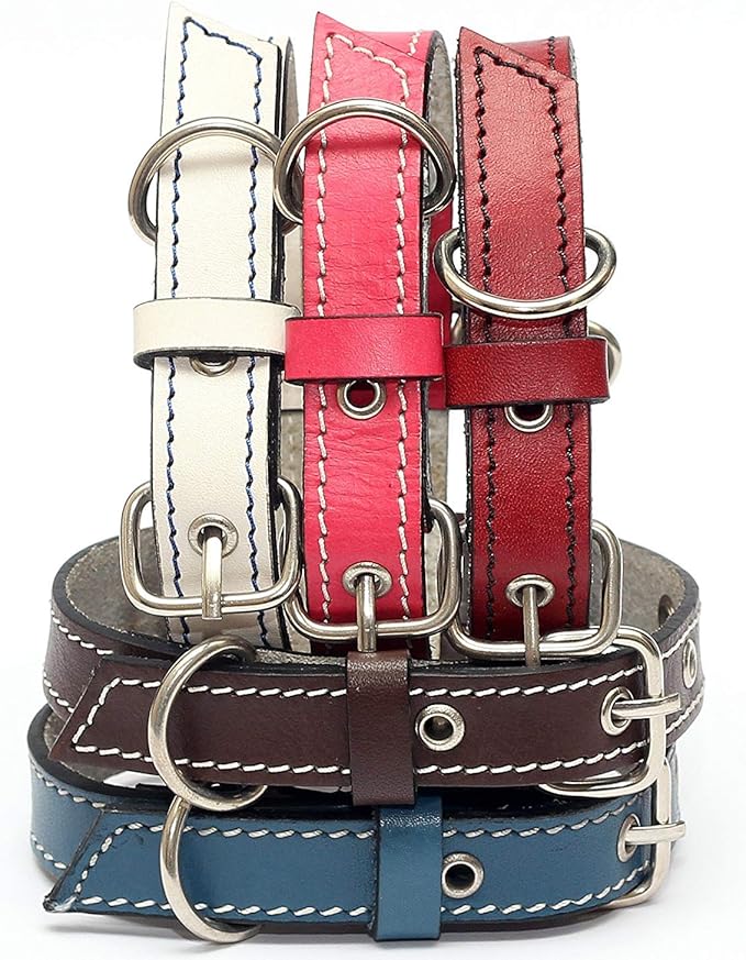 Premium Leather Collars with Stainless Steel Buckles (12"-15", White)