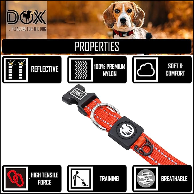 DDOXX Reflective Nylon Dog Collar - Strong and Adjustable Collars Dogs - M (Orange)