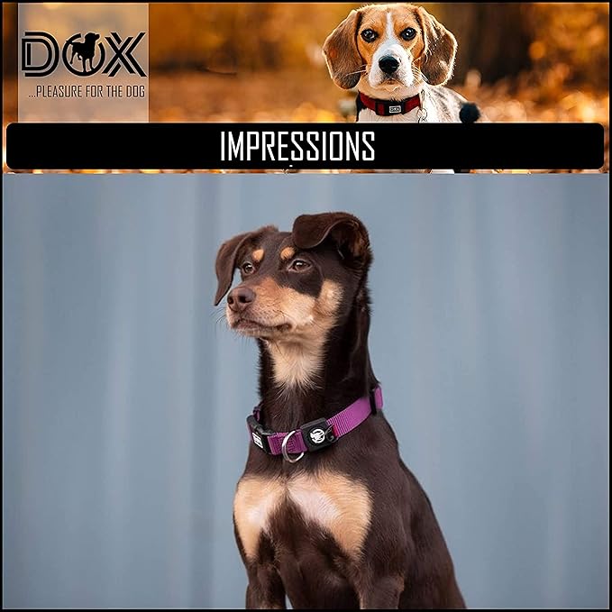 DDOXX Reflective Nylon Dog Collar, S (Purple) - Adjustable, Strong and Comfortable Collar for Dogs with Quick Release Buckle, Durable and Visible for Safety - Dog Leash Ideal for Training and Walks