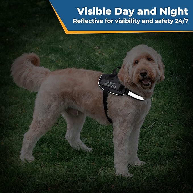 GoTags No-Pull Dog Harness with Custom Name and Phone Number, Personalized for Large, Medium and Small Dogs, Service Vest No Tugging, Pulling, or Choking for Training (Black, XL)