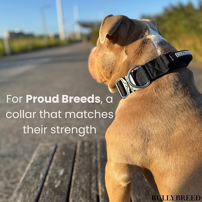 BULLYBREED Premium Dog Colar with Handle, Heavy Duty Dog Collar, Tactical Dog Collar, Quick-Release Metal Buckle, Thick Dog Collar, Dog Collar for Medium Dogs, Dog Collar for Large Dogs (Tan, M)