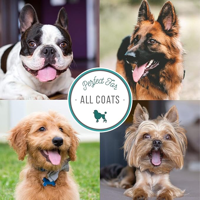 Nature's Specialties Peachy Perfect Ultra Concentrated Dog Shampoo for Pets, Makes up to 96 oz, Natural Choice for Professional Groomers, Gentle on Skin & Coat, Made in USA, 16 oz