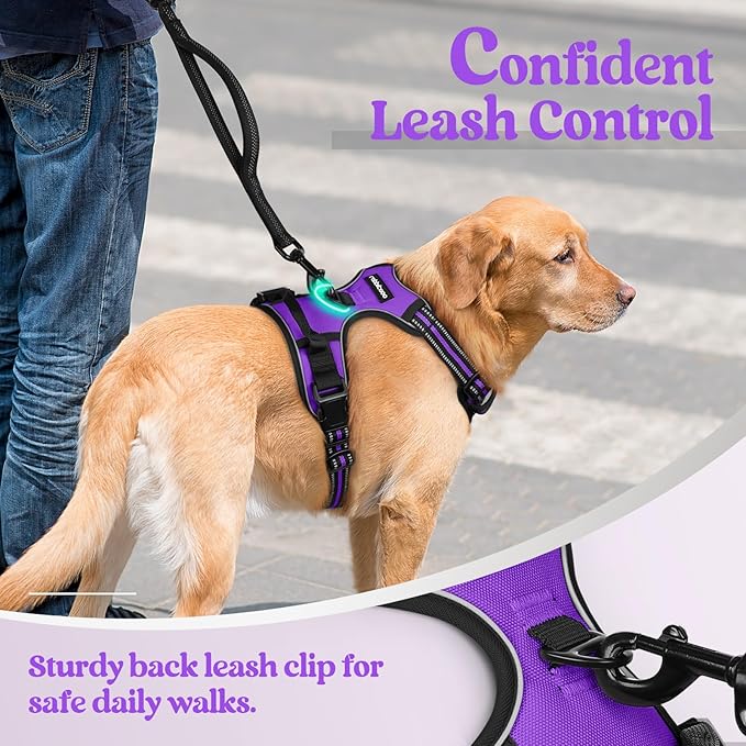 rabbitgoo Dog Harness, No-Pull Pet Harness with 2 Leash Clips, Adjustable Soft Padded Dog Vest, Reflective No-Choke Pet Oxford Vest with Easy Control Handle for Large Dogs, Purple, XL
