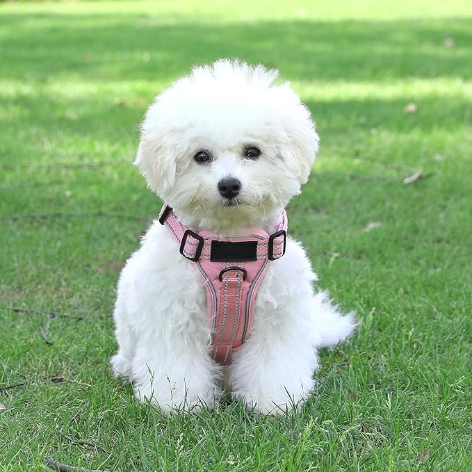 Demigreat Service Dog Harness, Reflective Dog Vest Harness with 5 PCS Patches, Adjustable Soft Oxford Pet Harness, Inner Layer Mesh, Easy to Control for Small Medium Large Dogs