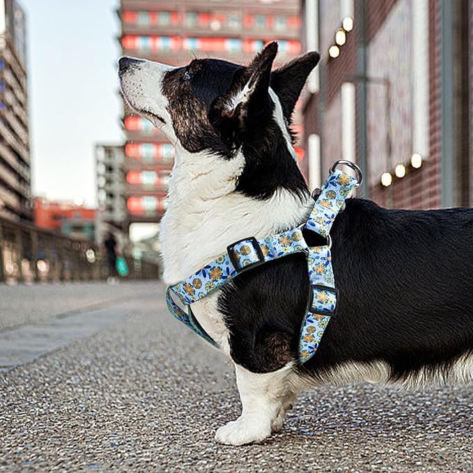 QQPETS Dog Harness Leash Set Adjustable Heavy Duty No Pull Halter Harnesses for Small Medium Large Breed Dogs Back Clip Anti-Twist Perfect for Walking