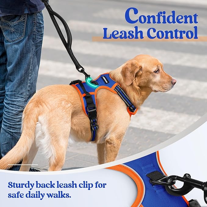 rabbitgoo Dog Harness, No-Pull Pet Harness with 2 Leash Clips, Adjustable Soft Padded Dog Vest, Reflective No-Choke Pet Oxford Vest with Easy Control Handle for Large Dogs, Blue & Orange, S