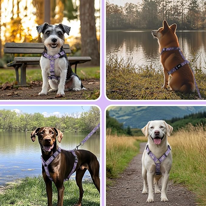 Dog Harness Leash Set, No Pull Adjustable Halter Cute Comfort Padded Handle for Medium Sized Large Small Dogs Walking Training Running with Reflective（Medium,Purple）