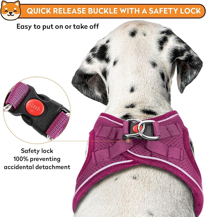 Dog Harness with Leash Set, No-Pull Step-in Reflective Pet Harness with 1 Leash Clips, Adjustable Soft Padded Easy Walk Dog Vest for Small Medium Large Dogs, Cats(Rose Red, XXXSmall)