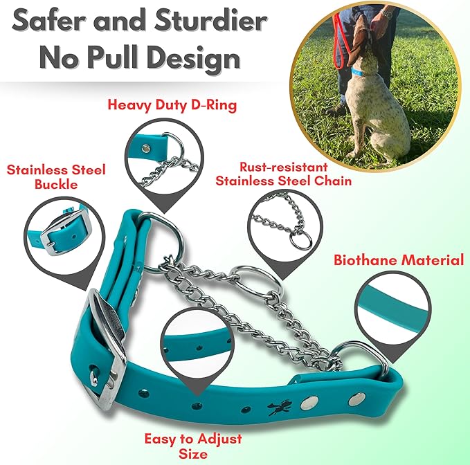 Martingale Collar for Dogs, Biothane, Stainless Steel Hardware, No Pull, Made in The USA, Professional Grade, Small, Teal