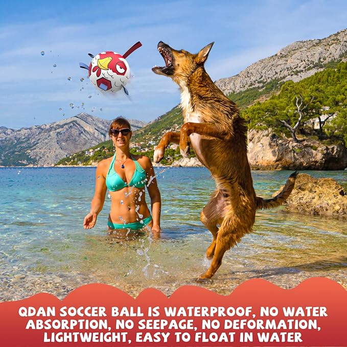 QDAN Premium Dog Balls Toys, Outdoor Dog Toys, Dog Soccer Balls with with Straps, Pet Puppy Birthday Gifts for Small Medium Dogs, 6 Inch, Chicken Ball