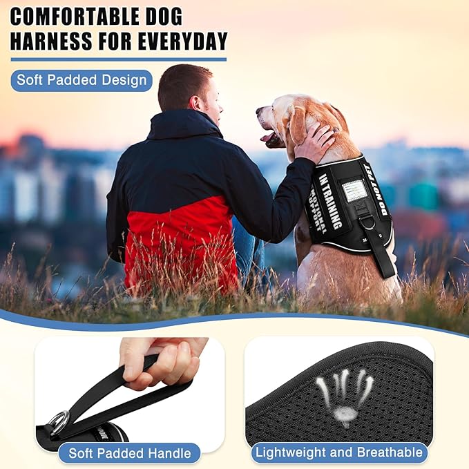 Service Dog Vest Harness+ID Tag+10 Patches,Metal Serivce Dog Tag&Reflective Emotional Support Dog Vest with Handle for Medium Dogs,Easy Put On/Off for Training/Walking/Everyday Black M
