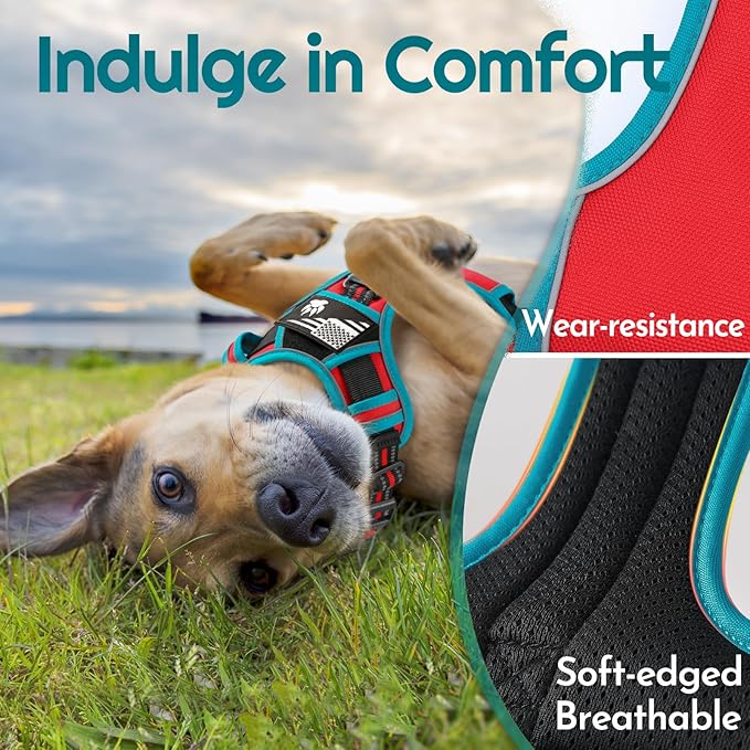 Eagloo Dog Harness Medium Sized, Easy Wearing with 3 Buckles, Adjustable No Pull Pet Harness with 2 Rings for Walking, No Chock Reflective Soft Padded Vest with Control Handle, Red & Teal, M