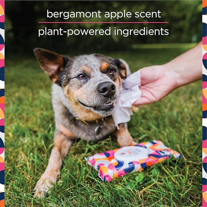 Pet Life Unlimited Pet Wipes for Dogs, Dog Cleaning Wipes - Plant-Based Dog Wipes with Moisturizing Aloe Leaf & Calendula - Made in The USA - Bergamot Apple Scent Dog Grooming Wipes - 40ct (Pack of 1)