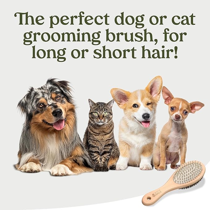 PAWFUME 2-in-1 Pet Brush – Dog Hair Brush – Cat Hair Brush – Dog Grooming Brush – Cat Grooming Brush – Soft Dog Brush for Long Haired Dogs – Soft Cat Brush for Long Haired Cats – Short Hair Dog Brush