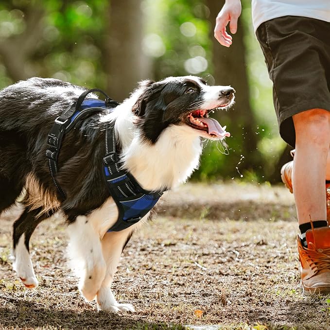 rabbitgoo Dog Harness for Large Dogs No Pull, Comfortable Padded Plaid Dog Harness with Handle Easy Control, Adjustable Reflective Puppy Pet Harness Vest with 2 Leash Clips, Blue Plaid, L