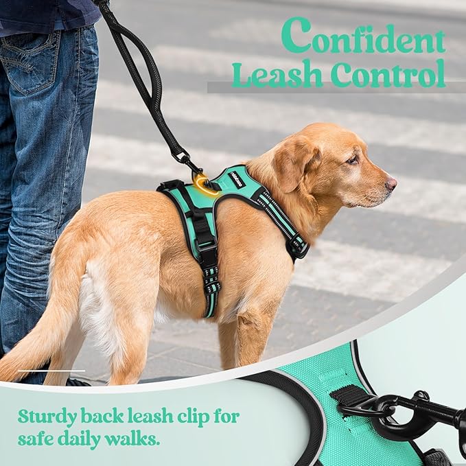 rabbitgoo Dog Harness, No-Pull Pet Harness with 2 Leash Clips, Adjustable Soft Padded Dog Vest, Reflective No-Choke Pet Oxford Vest with Easy Control Handle for Medium Dogs, Turquoise, M