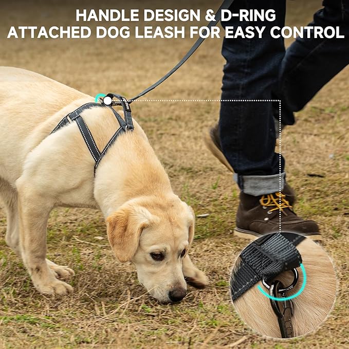 SATSUN Dog Harness & Leash Set, No Pull Dog Harness with 2 Adjustable Points & 1 Leash Clip, Reflective Comfortable Dog Vest with Easy Control Handle Ideal for Walking and Training, Army Green,L