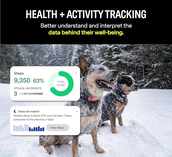 Fi Series 3 Smart Dog Collar - GPS Dog Tracker and Activity & Fitness Monitor, Waterproof, LED Light, Escape Alerts, Nationwide Coverage [Free 6 Month Membership] (Blue, Small)