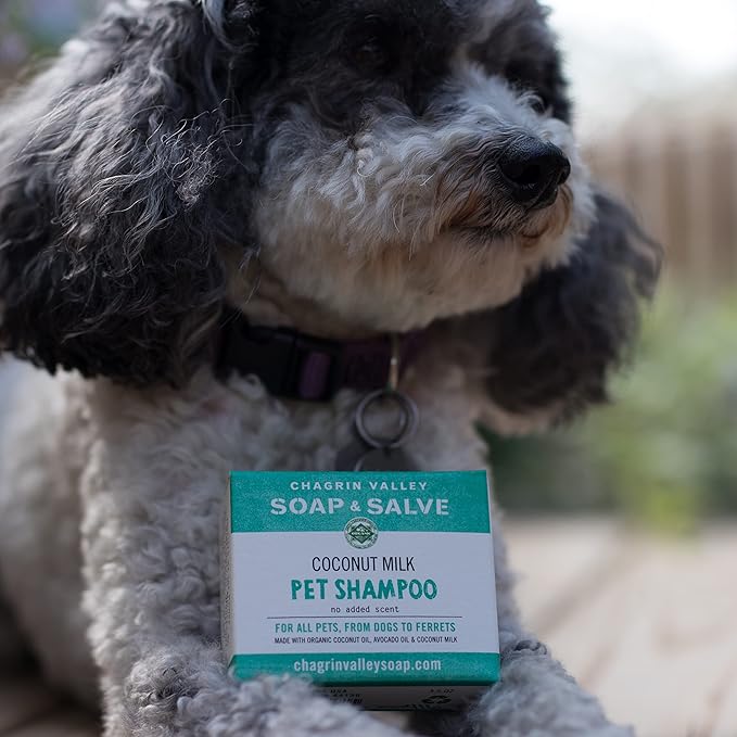 Chagrin Valley Soap & Salve Certified Organic Dog Shampoo and Conditioner – Dog Shampoo Itchy Skin Relief and Puppy Essentials - Natural Handmade Coconut Milk, 3.8 oz Bar