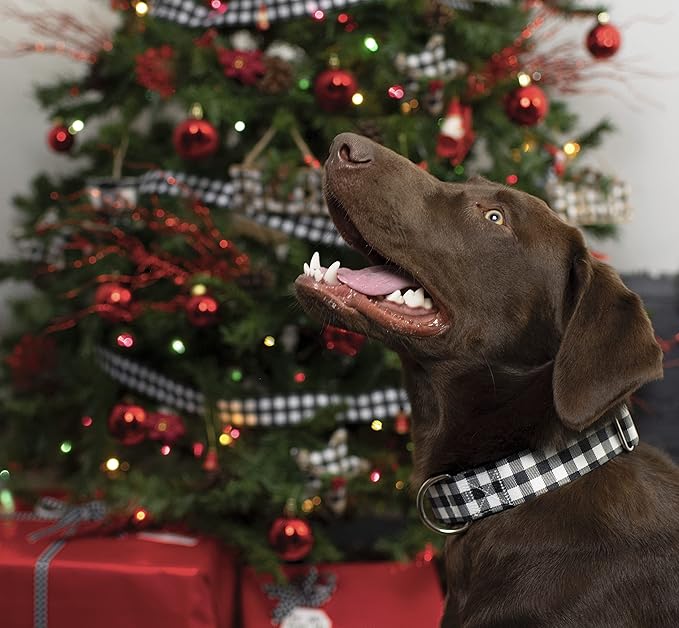 Country Brook Petz - Deluxe Black & White Buffalo Plaid Dog Collar - Made in The U.S.A. - Plaid and Argyle Collection Featuring Charming Designs (1 Inch, Medium)