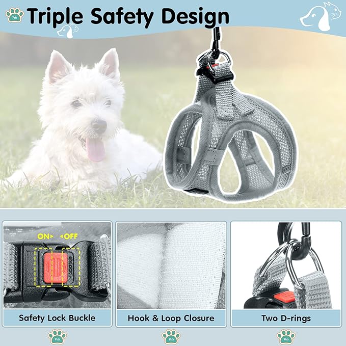 Breathable Air Mesh Dog Harness with Reflective Leash, Adjustable No Pull Step in Vest Harness for Small Dogs Puppies Cats, Grey, Small