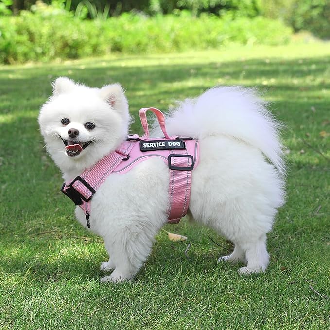 Demigreat Service Dog Harness, Reflective Dog Vest Harness with 5 PCS Patches, Adjustable Soft Oxford Pet Harness, Inner Layer Mesh, Easy to Control for Small Medium Large Dogs