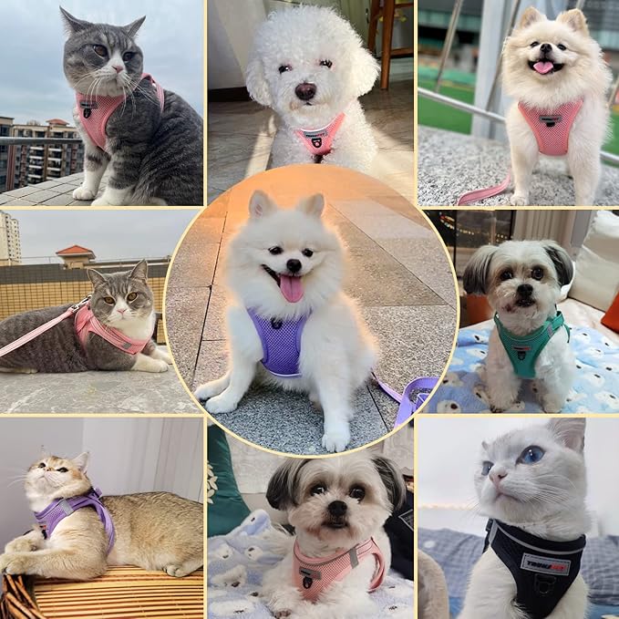 Dog Harness and Leash Set, Step in no Pull Dog Harness Adjustable Reflective Padded Mesh Fabric Dog Vest for Extra-Small/Small Medium Dogs and Cats-XS-Pink