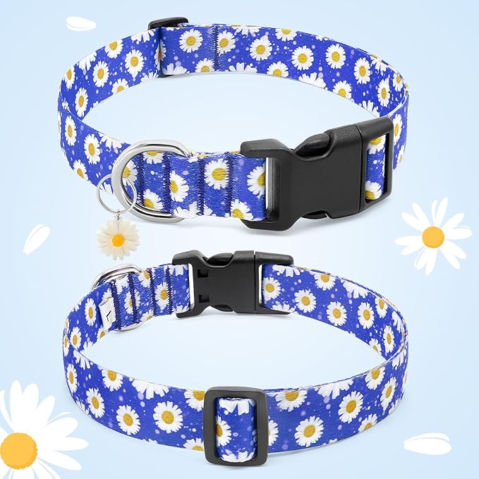 BiPawTi Floral Dog Collars for Medium Dog - Soft Cute Dog Collars for Girls Dog Pretty Flower Collar with Daisies Charms, Gift for Female Male Boys Girls Dogs (M, Blue)