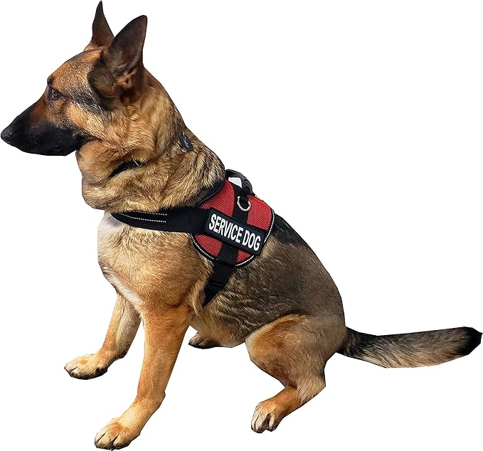ActiveDogs Air-Tech Mesh Service Dog Vest Harness, XL Girth 29"-40" w/Handle, ADA Cards + Reflective Service Dog Patches - Red