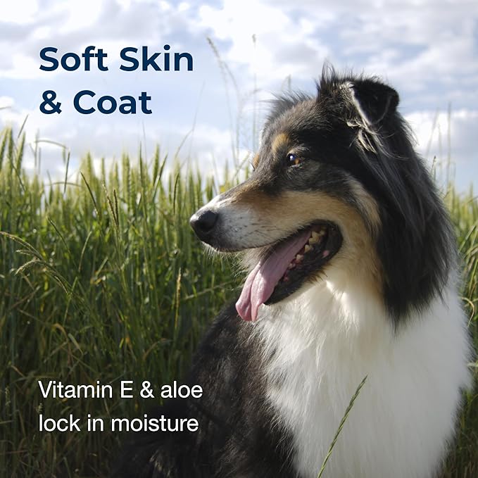 PetAg Fresh ’n Clean Crisp Linen Scented Shampoo (15:1 Concentrate) - 1 Gallon - Soothes Dry, Irritated Skin with Vitamin E & Aloe Vera - Strengthens & Repairs Coats - Gluten Free