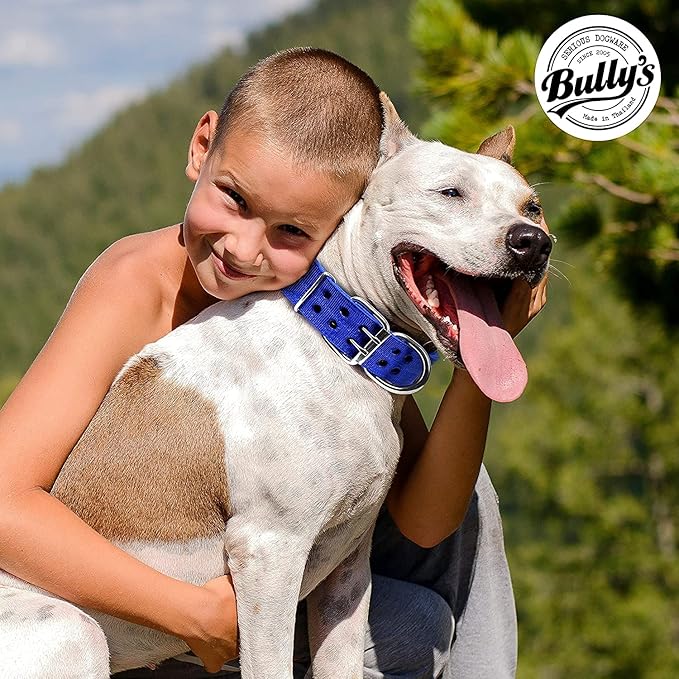 Pit Bull Collar, Dog Collar for Large Dogs, Heavy Duty Nylon, Stainless Steel Hardware (Medium-1.5 Inches Wide, Sapphire Blue)