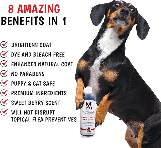 Warren London Magic Black Dog Shampoo | Brightens Any Dog Coat | Formulated for Darker Dog Coats | Puppy and Cat Safe Grooming Supplies | Berry Scent 128 Ounce, Made in USA
