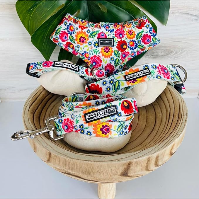 Lucky Love Dog, Soft Reversible Harness Vests, Vivid Floral Dog Vest Harness for Small Female Dogs, Stylish Dog Accessory, (Ladybird, Small)