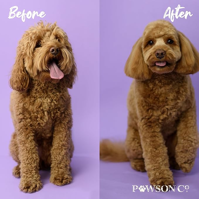 Pawson Dog Shampoo Bar - Natural Pet Shampoo with Rice Water and Aloe for Animals, Puppy Essentials, Peony Vanilla Scent