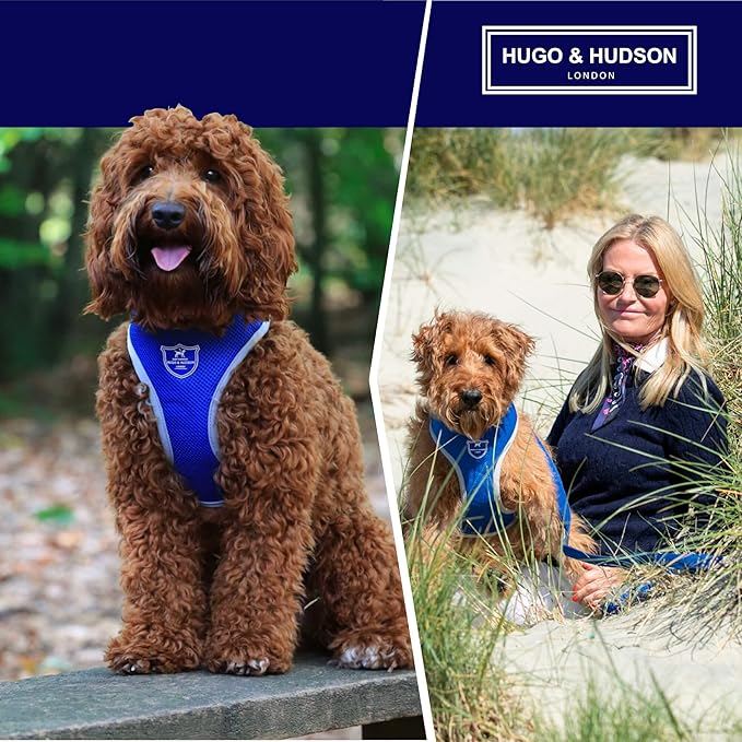 HUGO & HUDSON Dog Harness No-Pull Pet Harness Adjustable Quick Dry Mesh Padded Vest, Royal Blue, XS