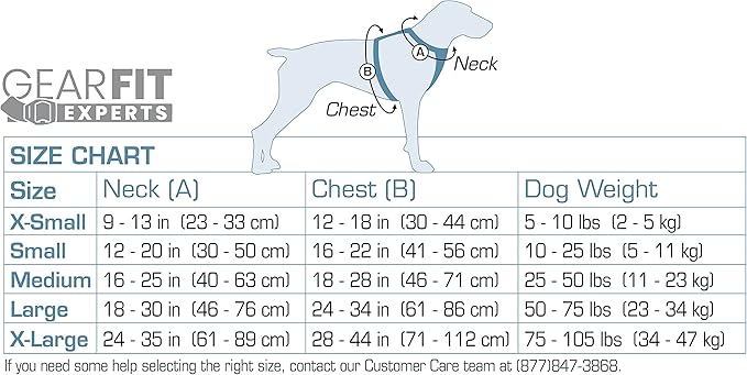 Kurgo Tru-Fit Smart Harness, Dog Harness, Pet Walking Harness, Quick Release Buckles, Front D-Ring for No Pull Training, Includes Dog Seat Belt Tether (Grey, Medium)